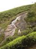 Munnar_Periyar_-_196.JPG